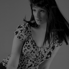 网络短信免费版